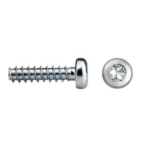 Tornillo rosca para plástico RF81T REMFORM® con cabeza alomada TORX
