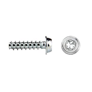 Tornillo rosca para plástico RF87T REMFORM® con cabeza arandela estampada TORX