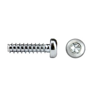 Tornillo rosca plástico RHS81P REMFORM®II HS con cabeza alomada TORX®plus