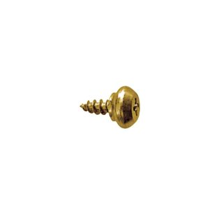 Tornillo para perfil PVC con cabeza redonda RH y acabado latonado