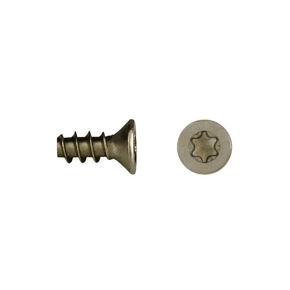 Tornillo para maderas fenólicas FEC/FEP con cabeza avellanada y sistema TORX