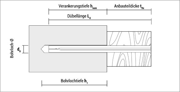 t_bn_de