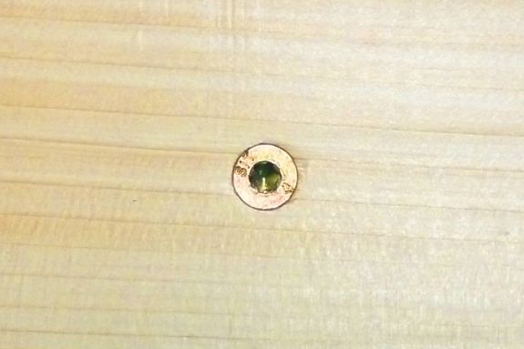 Tornillo en madera antes de aplicar tapón adhesivo MTAP