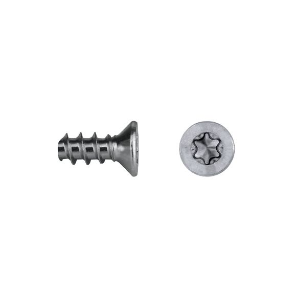 Tornillo para maderas fenólicas FEC/FEP con cabeza avellanada y sistema TORX