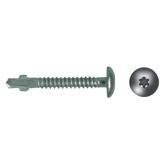 p_selfdrilling_screw_with_wings_pan_head_cbton