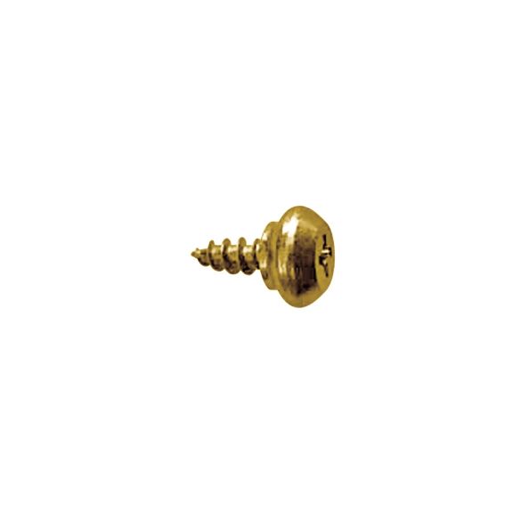 Tornillo para perfil PVC con cabeza redonda RH y acabado latonado
