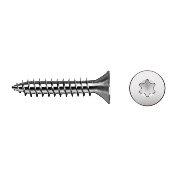 p_selftapping_screw_sit_recess_7061s