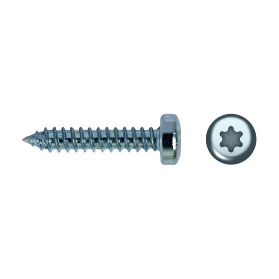 p_selftapping_screw_torx_recess_7049t