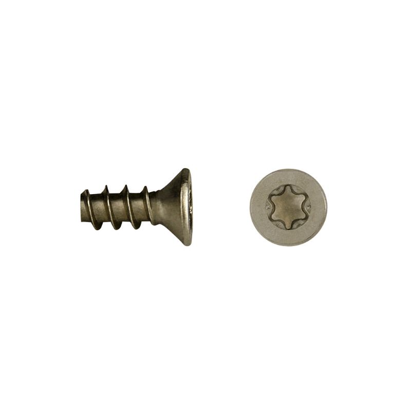 Tornillo para maderas fenólicas FEC/FEP con cabeza avellanada y sistema TORX