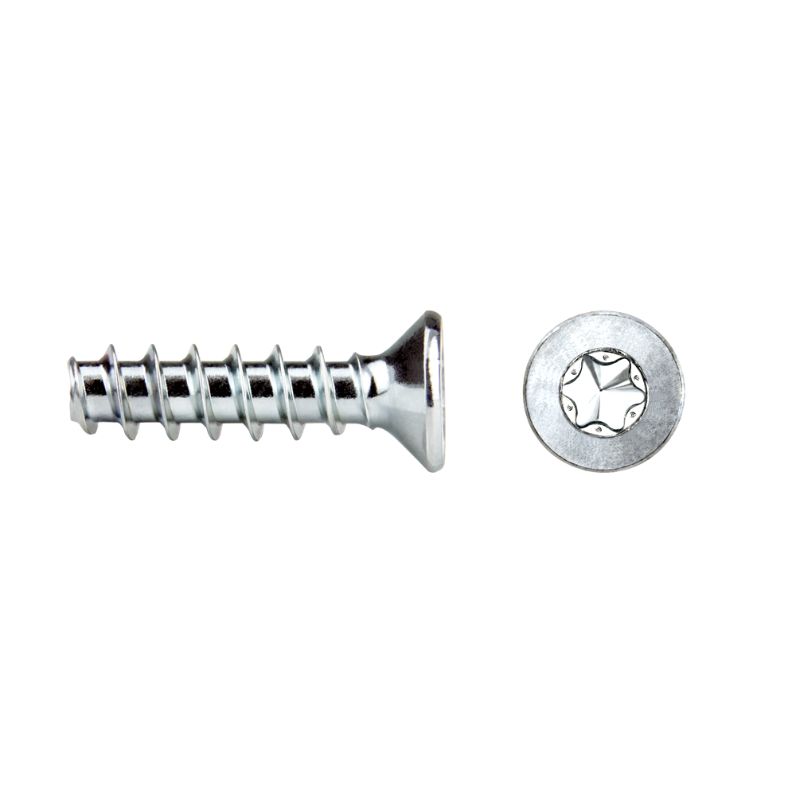 Tornillo rosca plástico RF82T REMFORM® con cabeza avellanada TORX