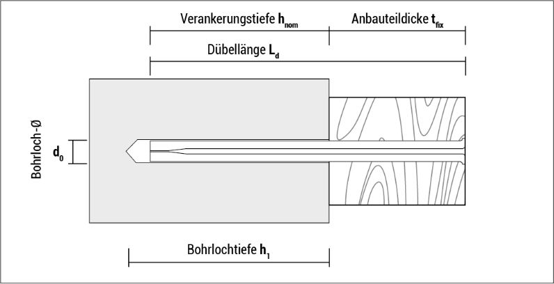 t_bn_de