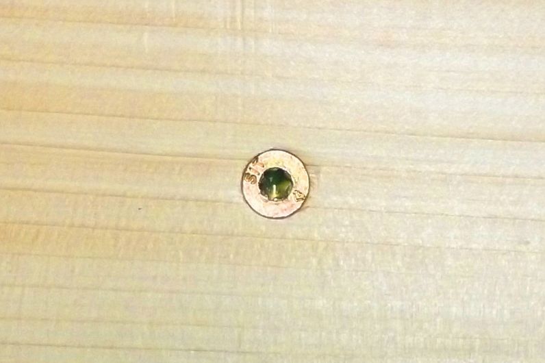 Tornillo en madera antes de aplicar tapón adhesivo MTAP