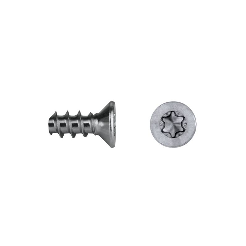Tornillo para maderas fenólicas FEC/FEP con cabeza avellanada y sistema TORX