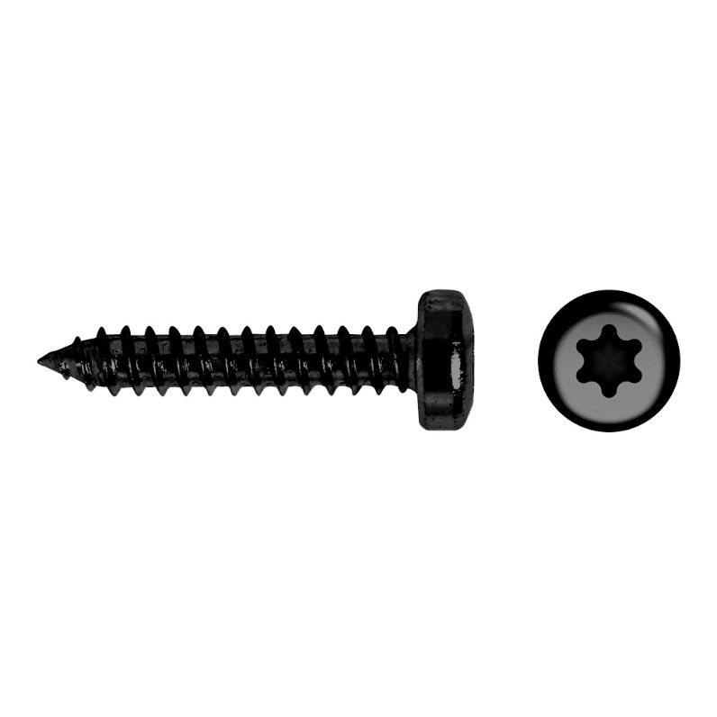 Tornillo negro con cabeza alomada y impronta TORX