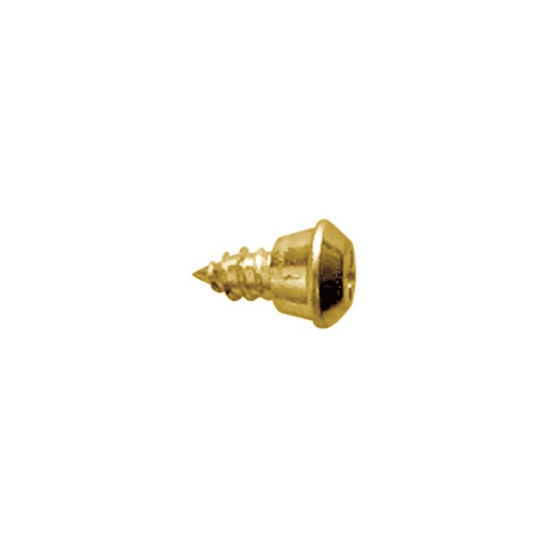 Tornillo para perfil PVC KO con acabado dorado
