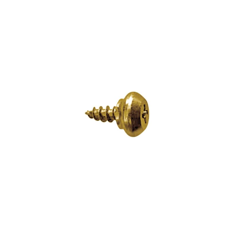Tornillo para perfil PVC con cabeza redonda RH y acabado latonado