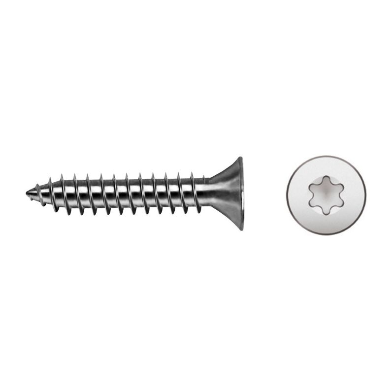 p_selftapping_screw_sit_recess_7061s