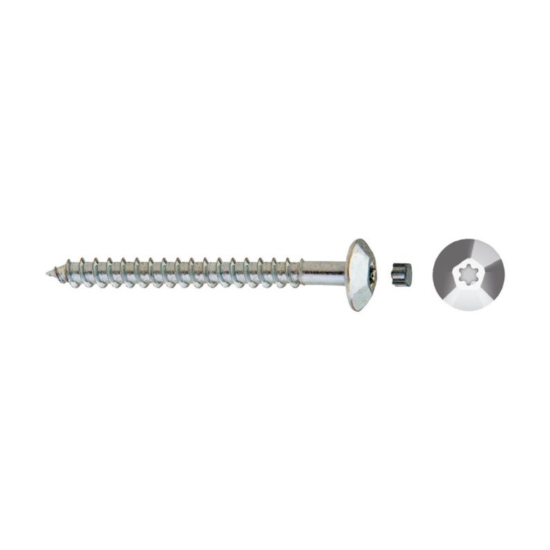 Tornillo inviolable TIC con cabeza hexalobular y tapón