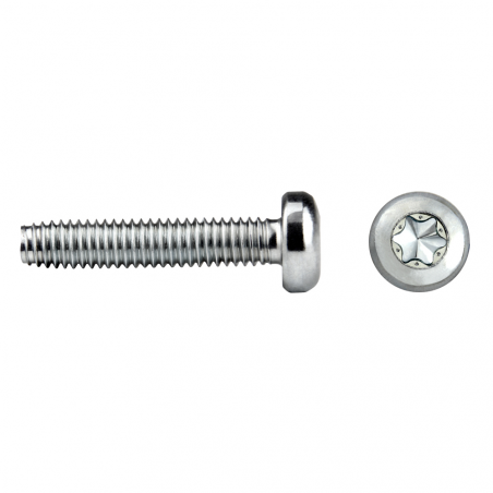 Tornillo rosca trilobular NT85T TAPTITE 2000® cabeza alomada TORX®