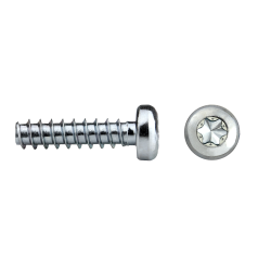 Tornillo rosca plástico...