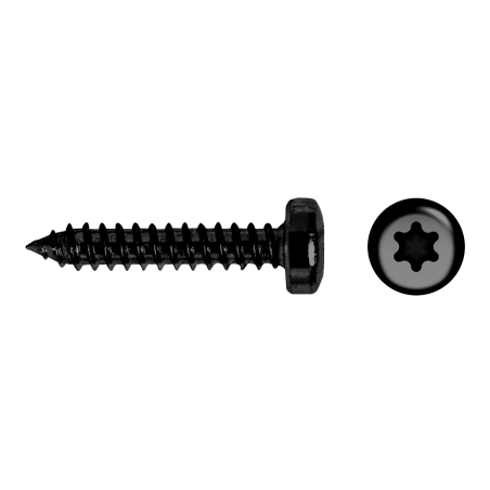 Tornillo cabeza alomada TORX 7049T