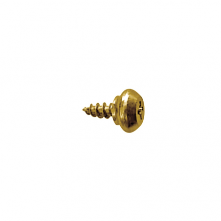 Tornillo para perfil PVC cabeza RH