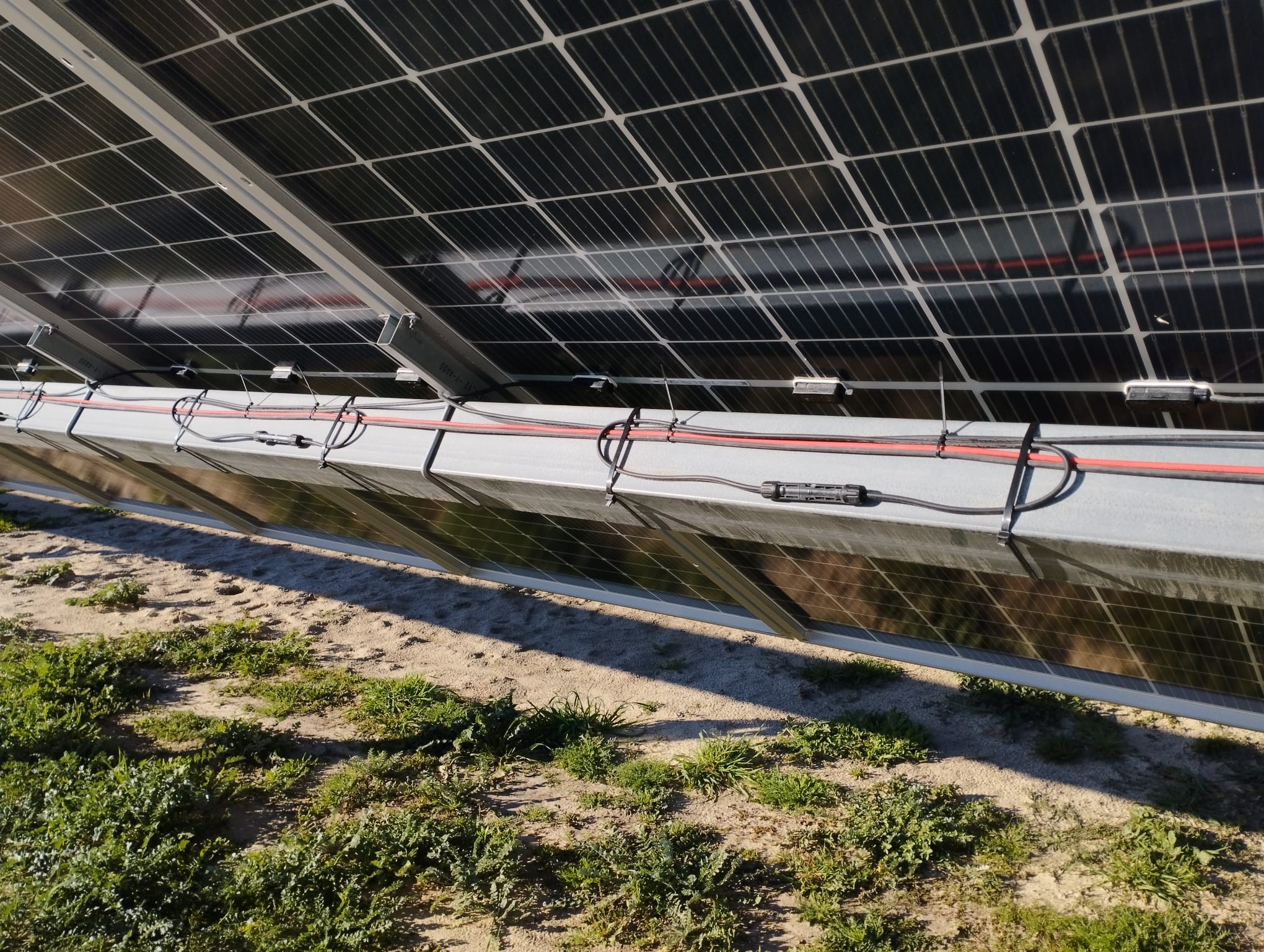 brida-cct_huerto-solar