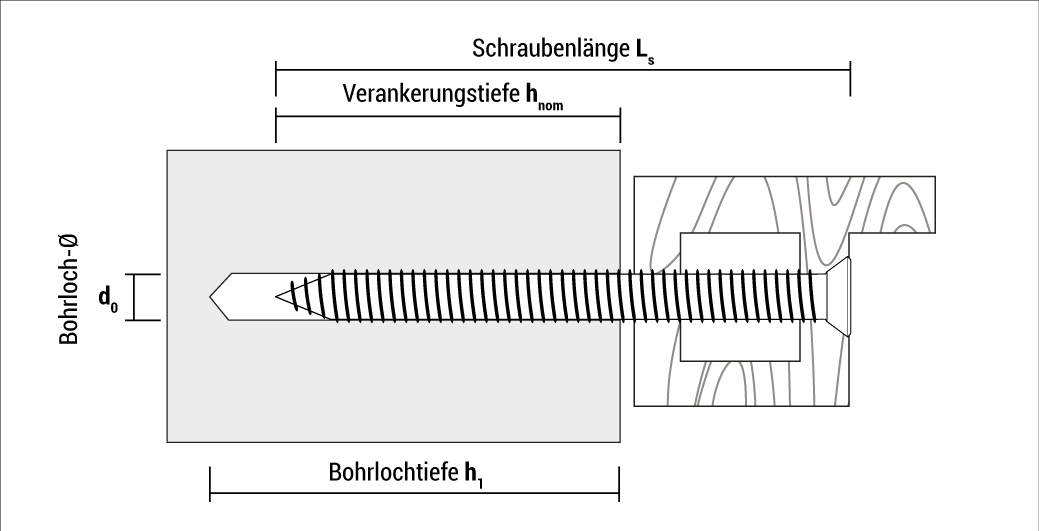 t_fbs_de