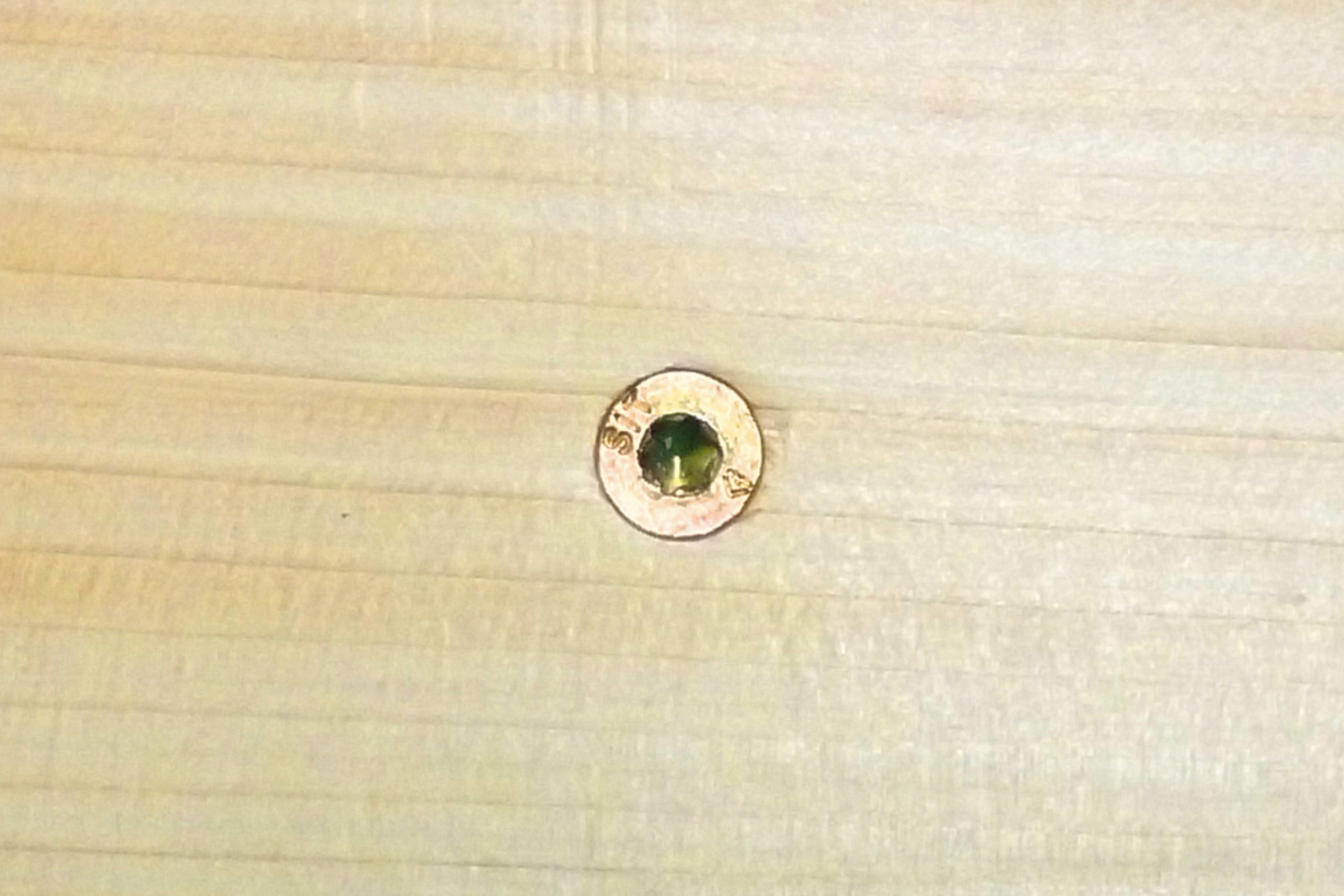 Tornillo en madera antes de aplicar tapón adhesivo MTAP
