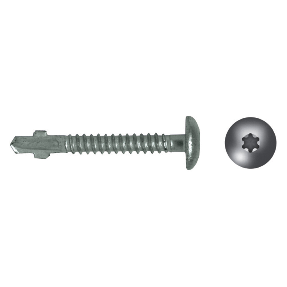 p_selfdrilling_screw_with_wings_pan_head_cbton