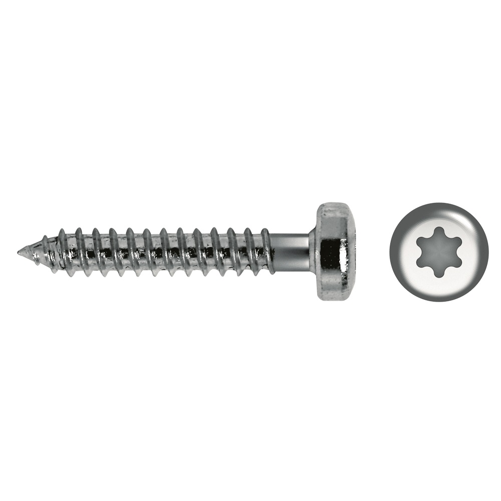 p_selftapping_screw_black_torx_recess_7049t_partial_thread