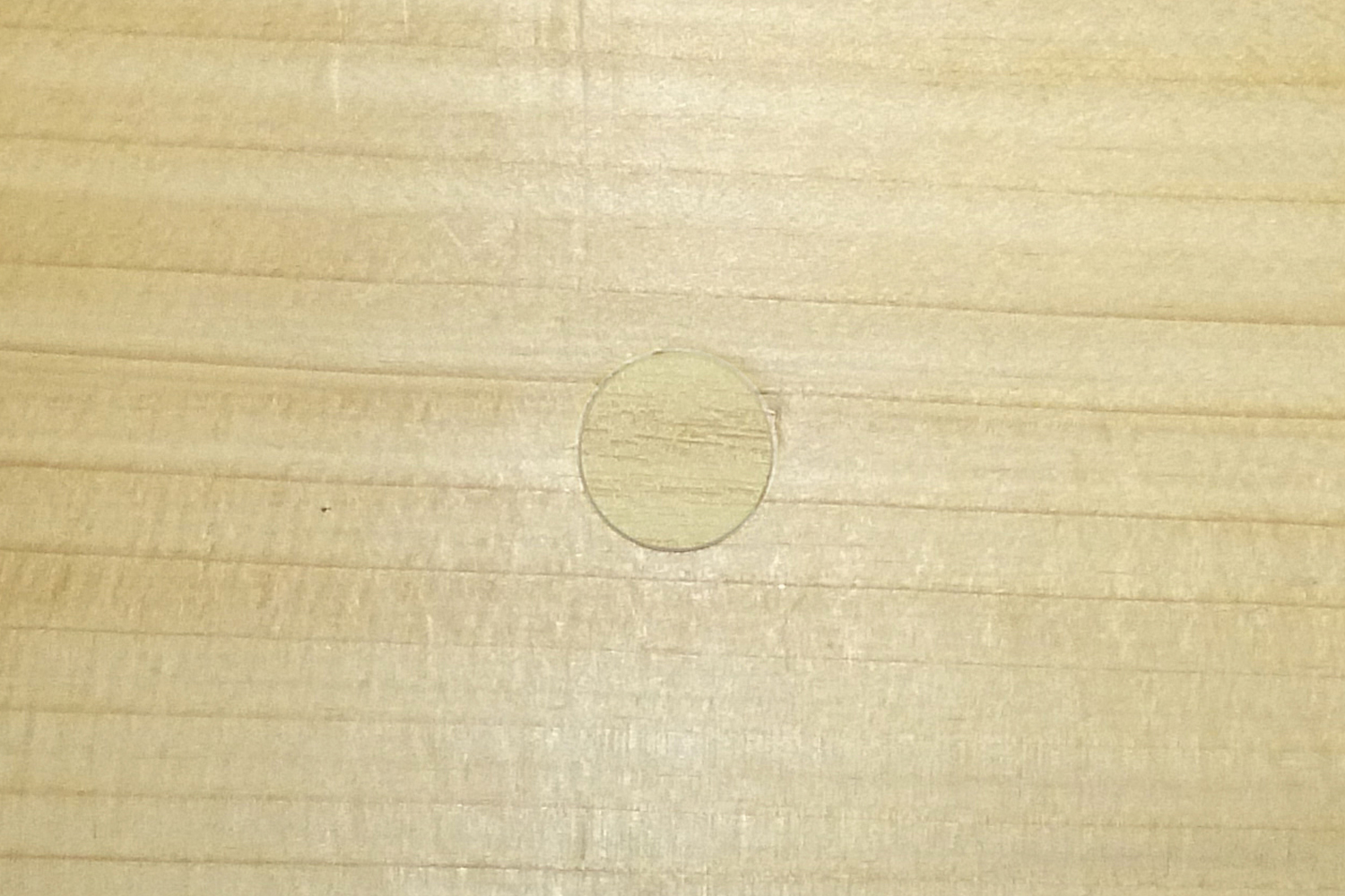 Tapón adhesivo MTAP para ocultar tornillos en madera