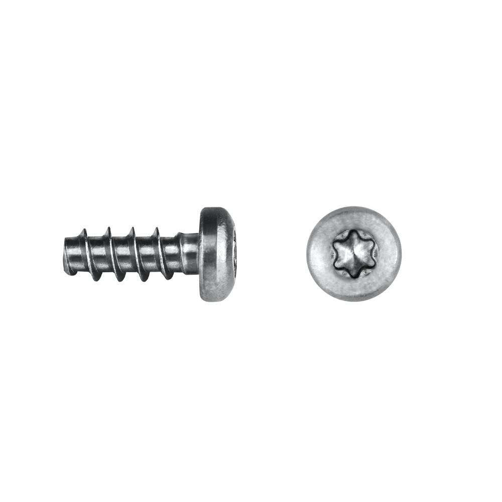 Tornillo para maderas fenólicas FEC/FEP con cabeza alomada y sistema TORX
